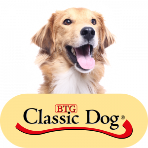 Classic Dog